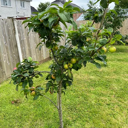 شقة Near The River Shannon *