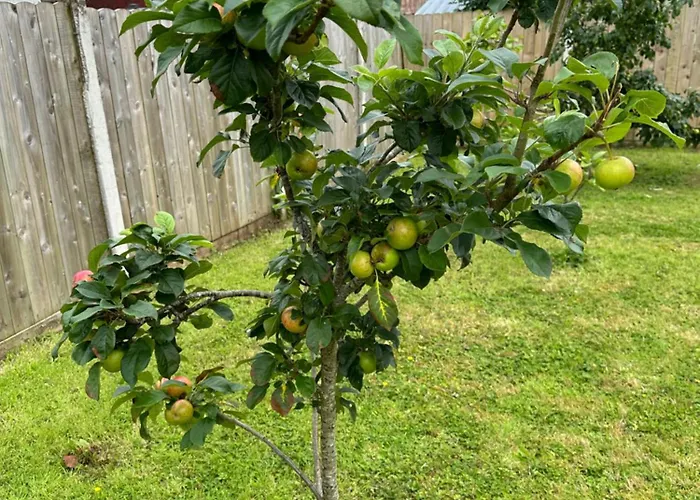 Apartment Near The River Shannon *